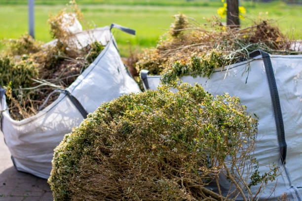 Best Professional Junk Removal  in Moenkopi, AZ